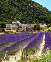 Provence biking trip photo